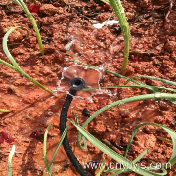 Fruit tree vortex micro nozzle